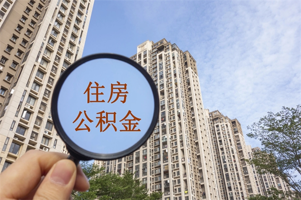 查询我的住房公积金-临朐公积金代办平台